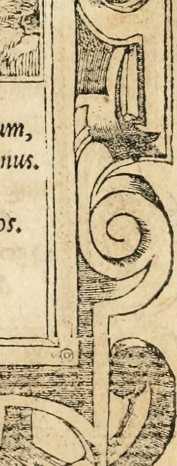 An illustration from Emblemata Andreae Alciati, iurisconsulti clarissimi, 1548, leaf 42