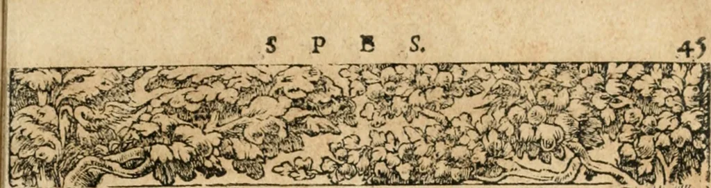 An illustration from Emblemata Andreae Alciati, iurisconsulti clarissimi, 1548, leaf 48