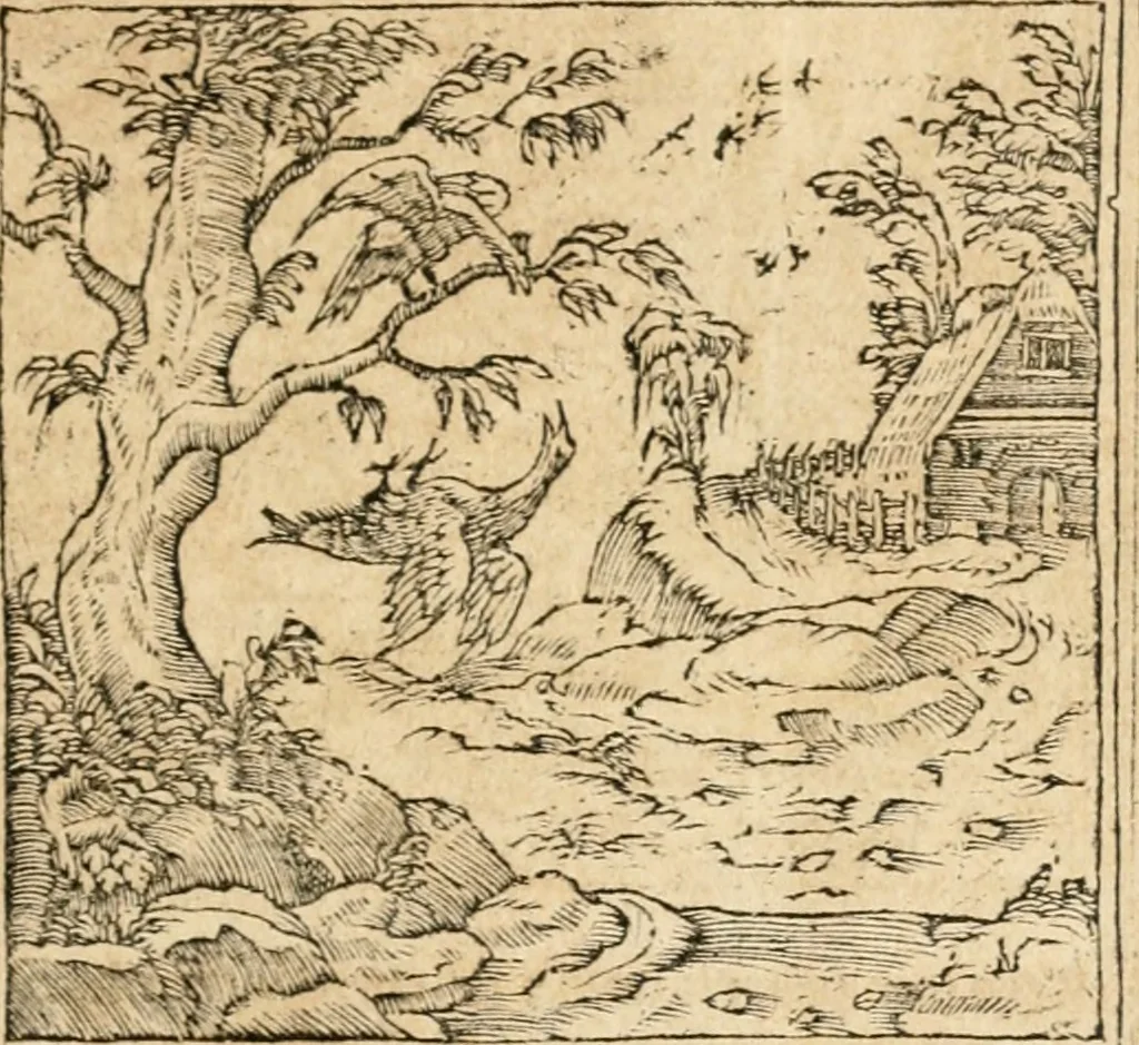 An illustration from Emblemata Andreae Alciati, iurisconsulti clarissimi, 1548, leaf 80