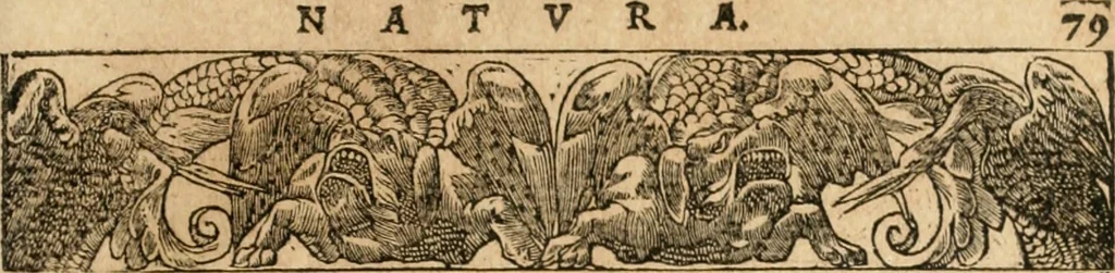 An illustration from Emblemata Andreae Alciati, iurisconsulti clarissimi, 1548, leaf 82