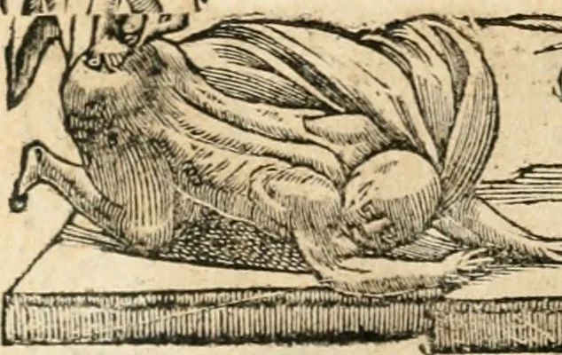 An illustration from Emblemata Andreae Alciati, iurisconsulti clarissimi, 1548, leaf 99