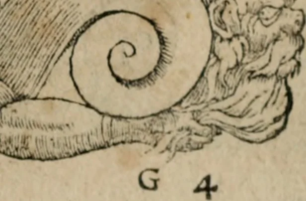 An illustration from Emblemata Andreae Alciati ..., 1548, leaf 106