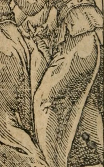 An illustration from Emblemata Andreae Alciati ..., 1548, leaf 109