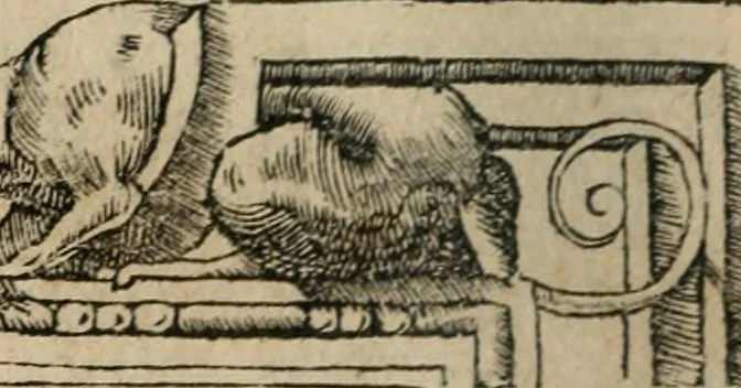 An illustration from Emblemata Andreae Alciati ..., 1548, leaf 11