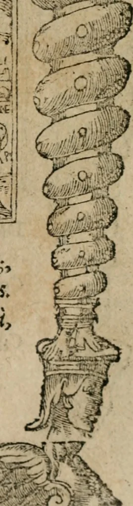 An illustration from Emblemata Andreae Alciati ..., 1548, leaf 112