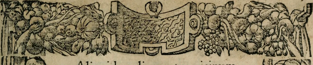 An illustration from Emblemata Andreae Alciati ..., 1548, leaf 134