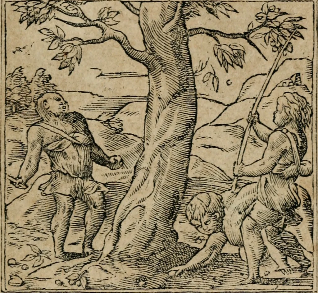 An illustration from Emblemata Andreae Alciati ..., 1548, leaf 158
