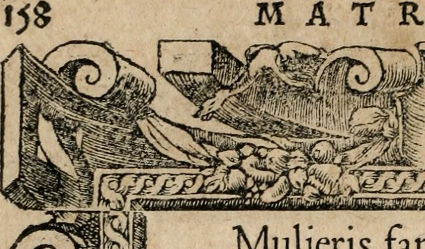 An illustration from Emblemata Andreae Alciati ..., 1548, leaf 161