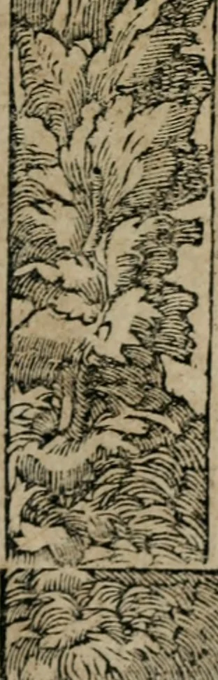 An illustration from Emblemata Andreae Alciati ..., 1548, leaf 162