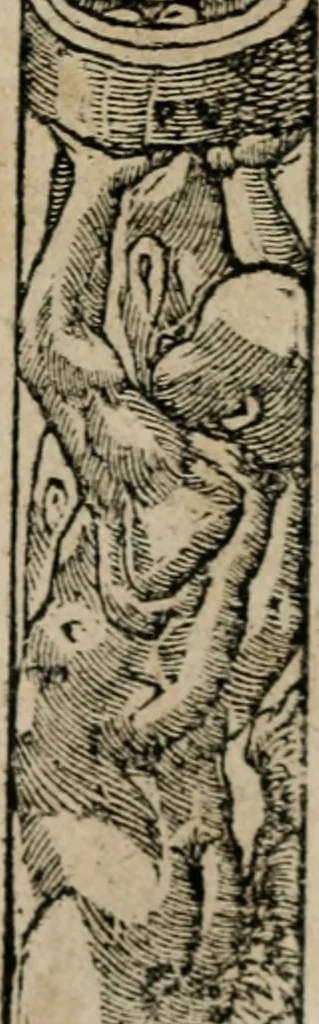 An illustration from Emblemata Andreae Alciati ..., 1548, leaf 162