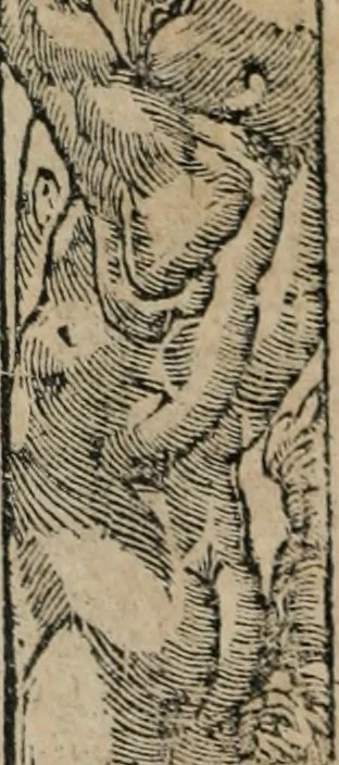 An illustration from Emblemata Andreae Alciati ..., 1548, leaf 163