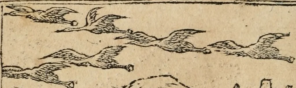 An illustration from Emblemata Andreae Alciati ..., 1548, leaf 23