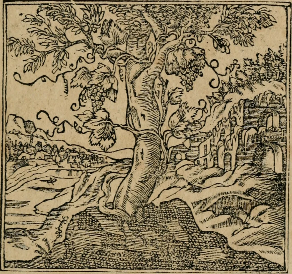 An illustration from Emblemata Andreae Alciati ..., 1548, leaf 30