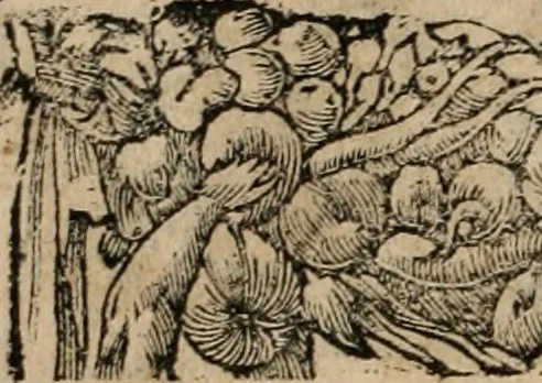 An illustration from Emblemata Andreae Alciati ..., 1548, leaf 41