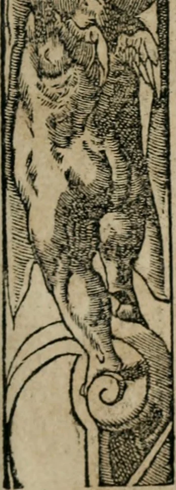 An illustration from Emblemata Andreae Alciati ..., 1548, leaf 52