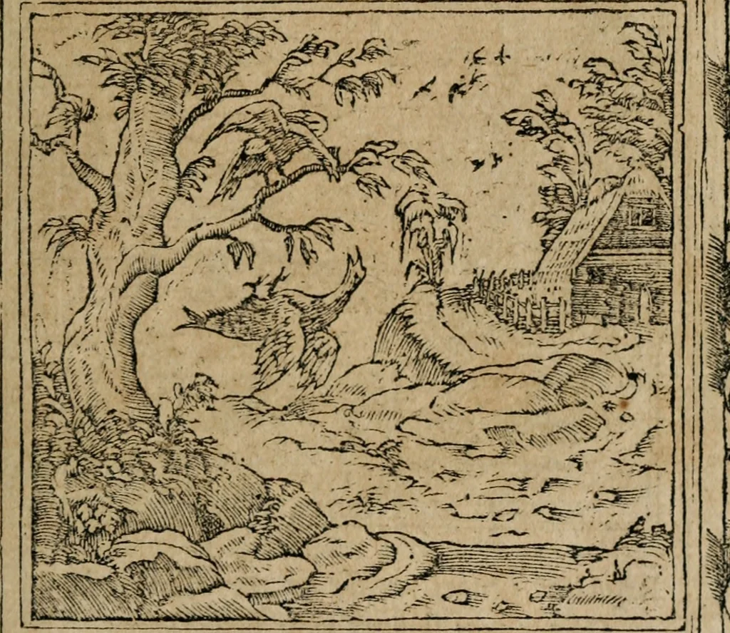An illustration from Emblemata Andreae Alciati ..., 1548, leaf 80