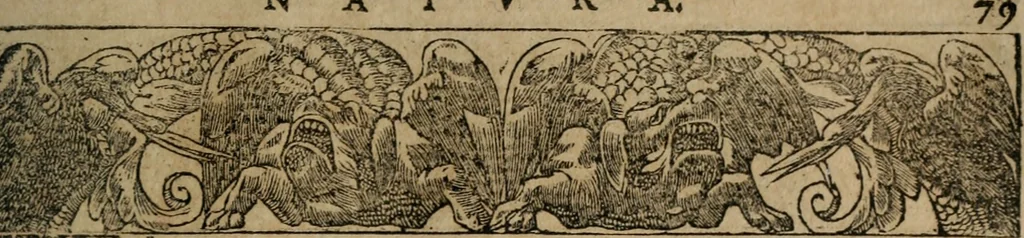 An illustration from Emblemata Andreae Alciati ..., 1548, leaf 82