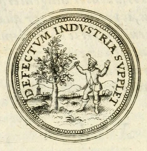 An illustration from Emblemata anniversaria Academiae Altorfinae : stvdiorvm ivventvtis exercitandorvm cavsa proposita et variorvm orationibvs exposita, 1597, leaf 260