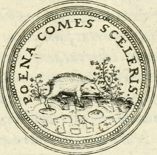 An illustration from Emblemata anniversaria Academiae Altorfinae : stvdiorvm ivventvtis exercitandorvm cavsa proposita et variorvm orationibvs exposita, 1597, leaf 264