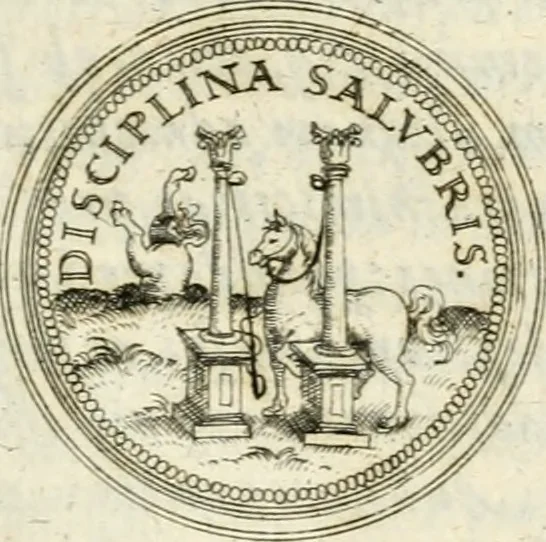 An illustration from Emblemata anniversaria Academiae Altorfinae : stvdiorvm ivventvtis exercitandorvm cavsa proposita et variorvm orationibvs exposita, 1597, leaf 288