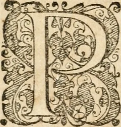 An illustration from Emblemata anniversaria Academiae Altorfinae : stvdiorvm ivventvtis exercitandorvm cavsa proposita et variorvm orationibvs exposita, 1597, leaf 55