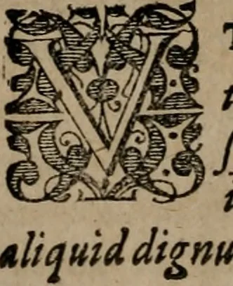 An illustration from Emblemata anniversaria Academiae Altorfinae : studiorum iuventutis exercitandorum causa proposita et variorum orationibus exposita, 1597, leaf 141