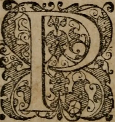 An illustration from Emblemata anniversaria Academiae Altorfinae : studiorum iuventutis exercitandorum causa proposita et variorum orationibus exposita, 1597, leaf 53