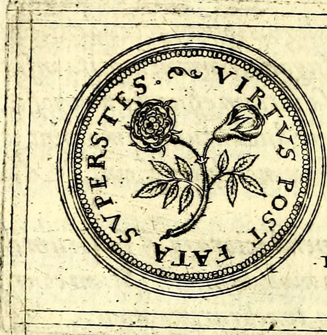An illustration from Emblemata anniversaria Academiae Noribergensis, qvae est Altorffii: stvdiorum juventutis exercitandorum caussâ inde ab ann. Christi CD D LXXVII usq; ad annum CD D CXVI proposita; oratiunculis eruditis & nervosis in panegyribus academicis explicata, 1617, leaf 111
