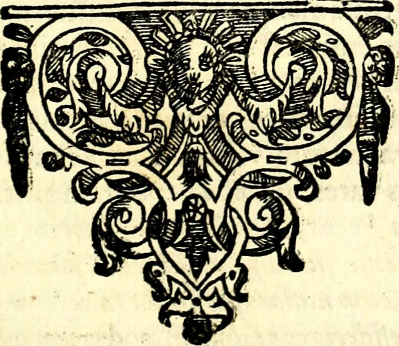 An illustration from Emblemata anniversaria Academiae Noribergensis, qvae est Altorffii: stvdiorum juventutis exercitandorum caussâ inde ab ann. Christi CD D LXXVII usq; ad annum CD D CXVI proposita; oratiunculis eruditis & nervosis in panegyribus academicis explicata, 1617, leaf 124