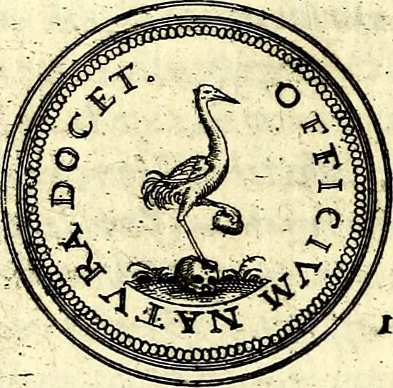 An illustration from Emblemata anniversaria Academiae Noribergensis, qvae est Altorffii: stvdiorum juventutis exercitandorum caussâ inde ab ann. Christi CD D LXXVII usq; ad annum CD D CXVI proposita; oratiunculis eruditis & nervosis in panegyribus academicis explicata, 1617, leaf 135