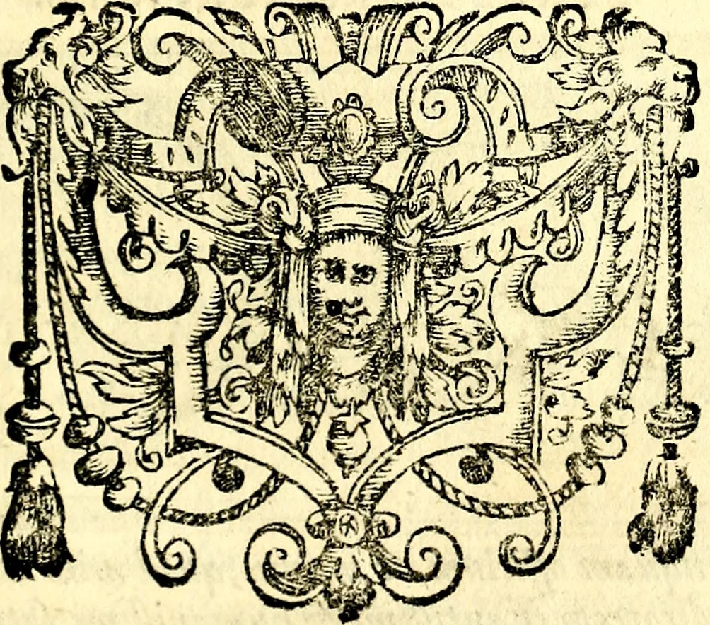 An illustration from Emblemata anniversaria Academiae Noribergensis, qvae est Altorffii: stvdiorum juventutis exercitandorum caussâ inde ab ann. Christi CD D LXXVII usq; ad annum CD D CXVI proposita; oratiunculis eruditis & nervosis in panegyribus academicis explicata, 1617, leaf 246
