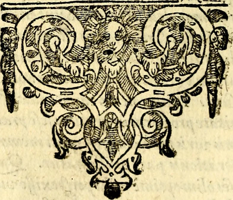 An illustration from Emblemata anniversaria Academiae Noribergensis, qvae est Altorffii: stvdiorum juventutis exercitandorum caussâ inde ab ann. Christi CD D LXXVII usq; ad annum CD D CXVI proposita; oratiunculis eruditis & nervosis in panegyribus academicis explicata, 1617, leaf 257