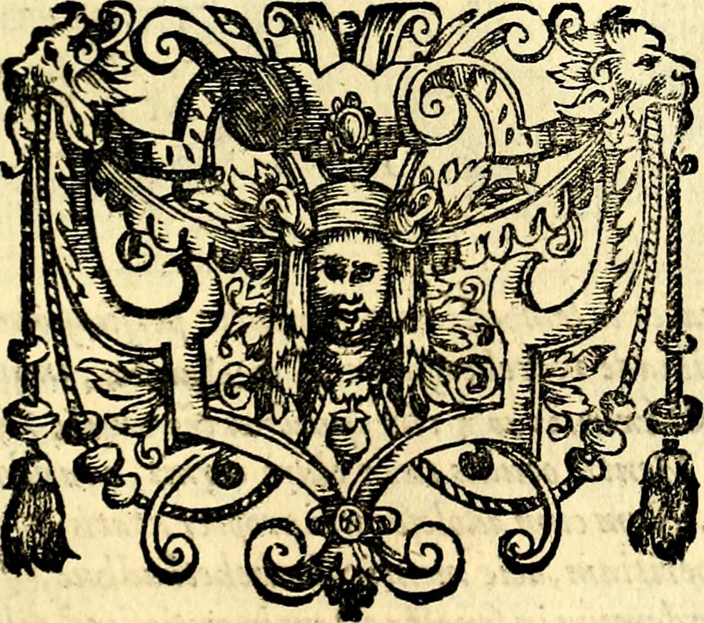 An illustration from Emblemata anniversaria Academiae Noribergensis, qvae est Altorffii: stvdiorum juventutis exercitandorum caussâ inde ab ann. Christi CD D LXXVII usq; ad annum CD D CXVI proposita; oratiunculis eruditis & nervosis in panegyribus academicis explicata, 1617, leaf 264