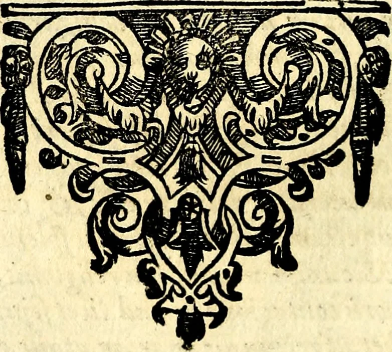 An illustration from Emblemata anniversaria Academiae Noribergensis, qvae est Altorffii: stvdiorum juventutis exercitandorum caussâ inde ab ann. Christi CD D LXXVII usq; ad annum CD D CXVI proposita; oratiunculis eruditis & nervosis in panegyribus academicis explicata, 1617, leaf 279