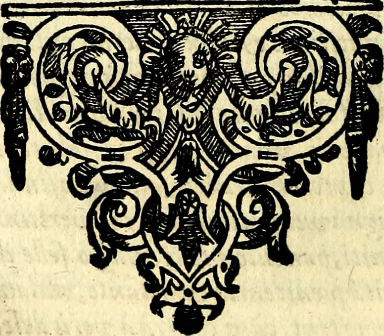 An illustration from Emblemata anniversaria Academiae Noribergensis, qvae est Altorffii: stvdiorum juventutis exercitandorum caussâ inde ab ann. Christi CD D LXXVII usq; ad annum CD D CXVI proposita; oratiunculis eruditis & nervosis in panegyribus academicis explicata, 1617, leaf 333