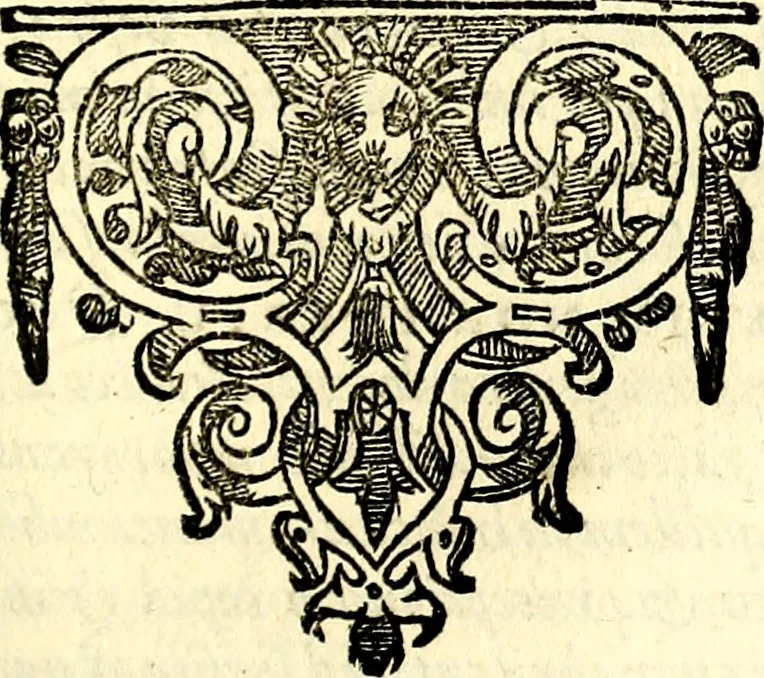An illustration from Emblemata anniversaria Academiae Noribergensis, qvae est Altorffii: stvdiorum juventutis exercitandorum caussâ inde ab ann. Christi CD D LXXVII usq; ad annum CD D CXVI proposita; oratiunculis eruditis & nervosis in panegyribus academicis explicata, 1617, leaf 356