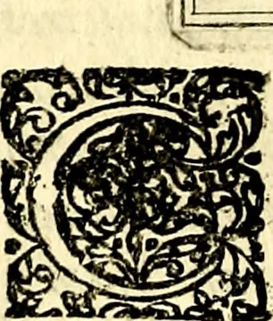 An illustration from Emblemata anniversaria Academiae Noribergensis, qvae est Altorffii: stvdiorum juventutis exercitandorum caussâ inde ab ann. Christi CD D LXXVII usq; ad annum CD D CXVI proposita; oratiunculis eruditis & nervosis in panegyribus academicis explicata, 1617, leaf 377