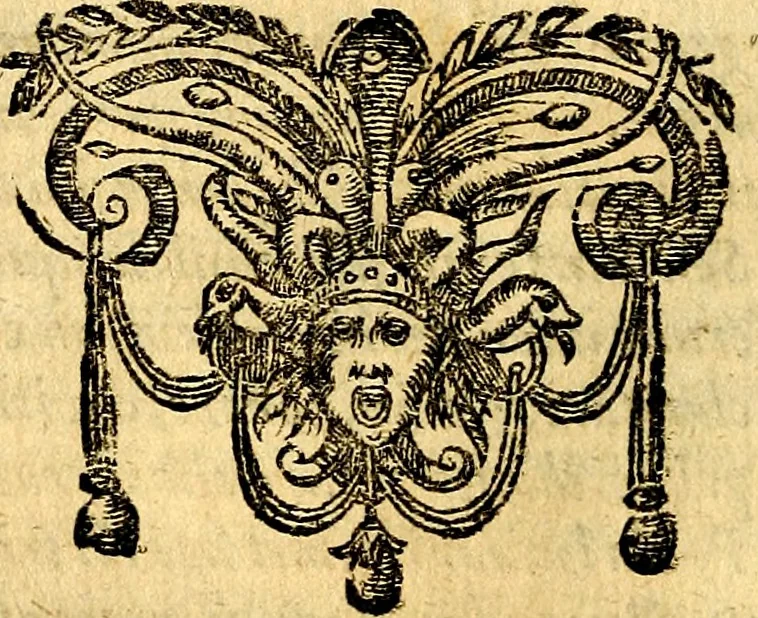 An illustration from Emblemata anniversaria Academiae Noribergensis, qvae est Altorffii: stvdiorum juventutis exercitandorum caussâ inde ab ann. Christi CD D LXXVII usq; ad annum CD D CXVI proposita; oratiunculis eruditis & nervosis in panegyribus academicis explicata, 1617, leaf 433