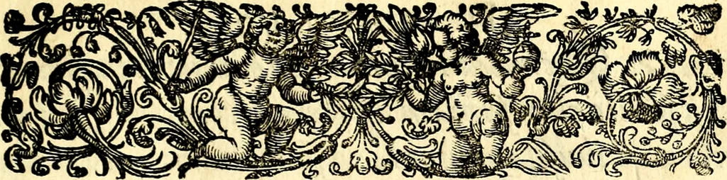 An illustration from Emblemata anniversaria Academiae Noribergensis, qvae est Altorffii: stvdiorum juventutis exercitandorum caussâ inde ab ann. Christi CD D LXXVII usq; ad annum CD D CXVI proposita; oratiunculis eruditis & nervosis in panegyribus academicis explicata, 1617, leaf 6