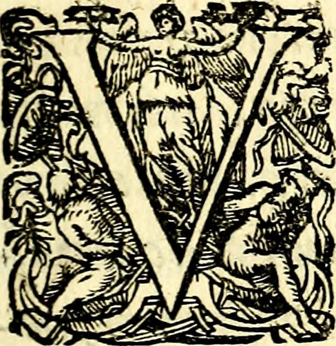 An illustration from Emblemata anniversaria Academiae Noribergensis, qvae est Altorffii: stvdiorum juventutis exercitandorum caussâ inde ab ann. Christi CD D LXXVII usq; ad annum CD D CXVI proposita; oratiunculis eruditis & nervosis in panegyribus academicis explicata, 1617, leaf 6