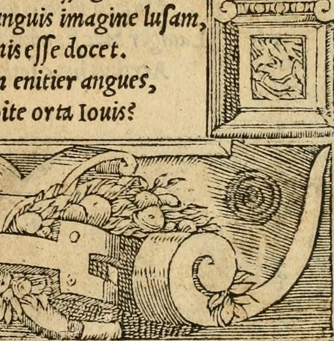 An illustration from Emblemata d'A. Alciati : denuo ab ipso autore recognita ac, quae desiderabantur, imaginibus locupletata : accesserunt noua aliquot ab autore emblemata, suis quoque eiconibus insignita, 1550, leaf 10