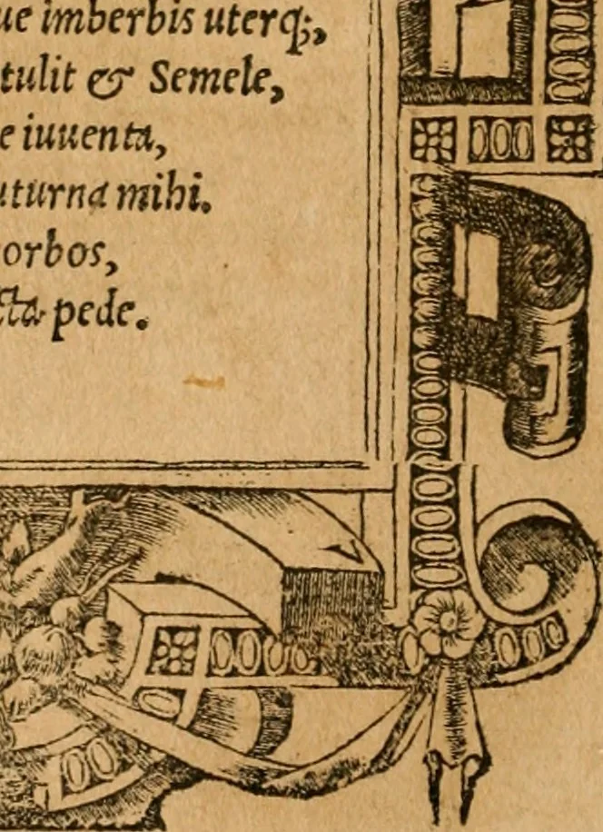 An illustration from Emblemata d'A. Alciati : denuo ab ipso autore recognita ac, quae desiderabantur, imaginibus locupletata : accesserunt noua aliquot ab autore emblemata, suis quoque eiconibus insignita, 1550, leaf 111