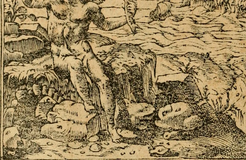 An illustration from Emblemata d'A. Alciati : denuo ab ipso autore recognita ac, quae desiderabantur, imaginibus locupletata : accesserunt noua aliquot ab autore emblemata, suis quoque eiconibus insignita, 1550, leaf 119