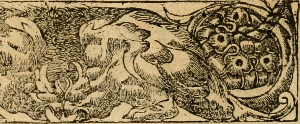 An illustration from Emblemata d'A. Alciati : denuo ab ipso autore recognita ac, quae desiderabantur, imaginibus locupletata : accesserunt noua aliquot ab autore emblemata, suis quoque eiconibus insignita, 1550, leaf 119