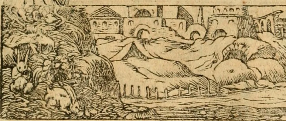 An illustration from Emblemata d'A. Alciati : denuo ab ipso autore recognita ac, quae desiderabantur, imaginibus locupletata : accesserunt noua aliquot ab autore emblemata, suis quoque eiconibus insignita, 1550, leaf 129