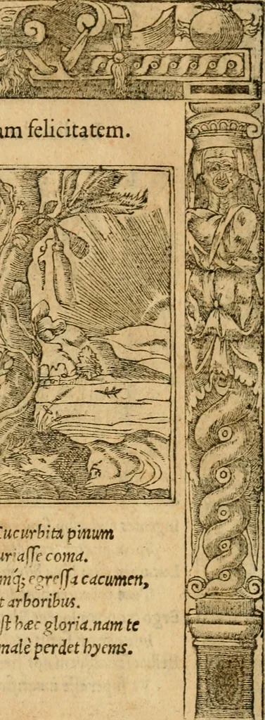An illustration from Emblemata d'A. Alciati : denuo ab ipso autore recognita ac, quae desiderabantur, imaginibus locupletata : accesserunt noua aliquot ab autore emblemata, suis quoque eiconibus insignita, 1550, leaf 139