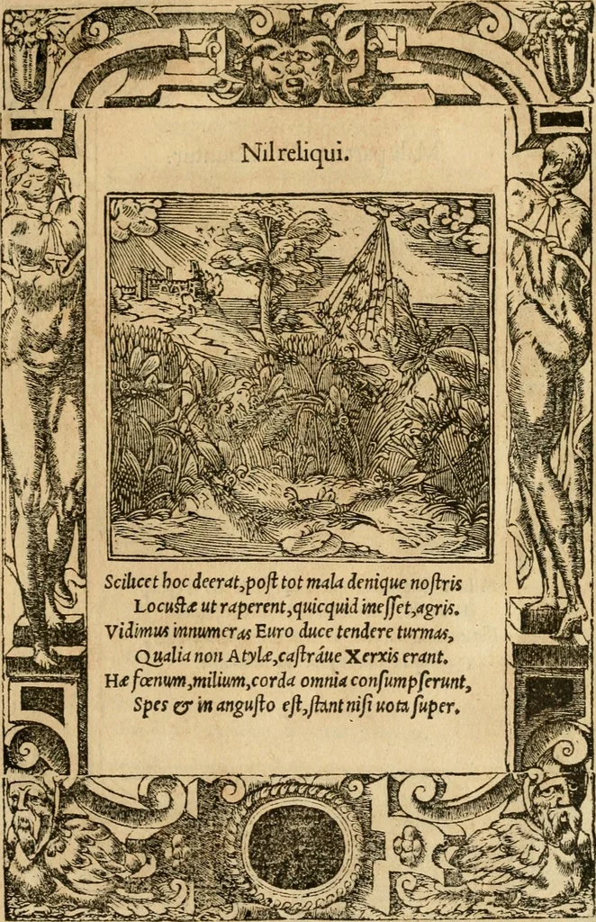 An illustration from Emblemata d'A. Alciati : denuo ab ipso autore recognita ac, quae desiderabantur, imaginibus locupletata : accesserunt noua aliquot ab autore emblemata, suis quoque eiconibus insignita, 1550, leaf 142