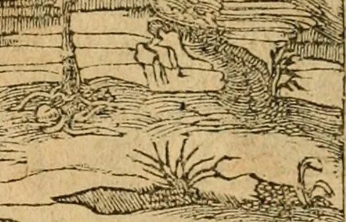 An illustration from Emblemata d'A. Alciati : denuo ab ipso autore recognita ac, quae desiderabantur, imaginibus locupletata : accesserunt noua aliquot ab autore emblemata, suis quoque eiconibus insignita, 1550, leaf 143