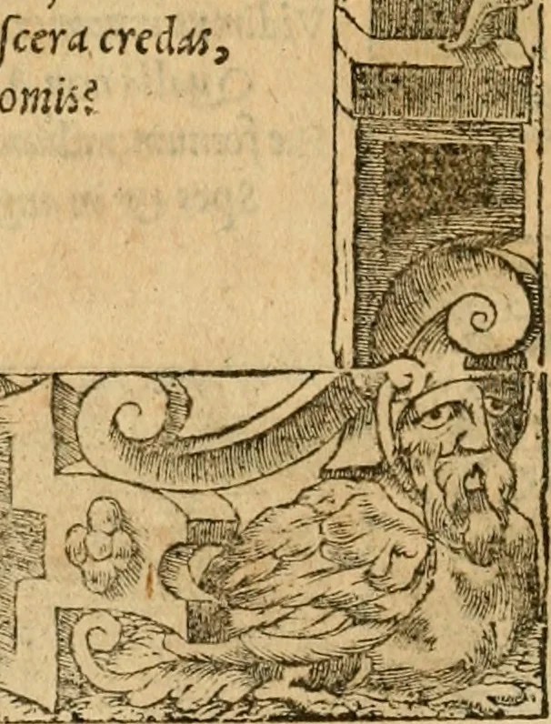 An illustration from Emblemata d'A. Alciati : denuo ab ipso autore recognita ac, quae desiderabantur, imaginibus locupletata : accesserunt noua aliquot ab autore emblemata, suis quoque eiconibus insignita, 1550, leaf 143