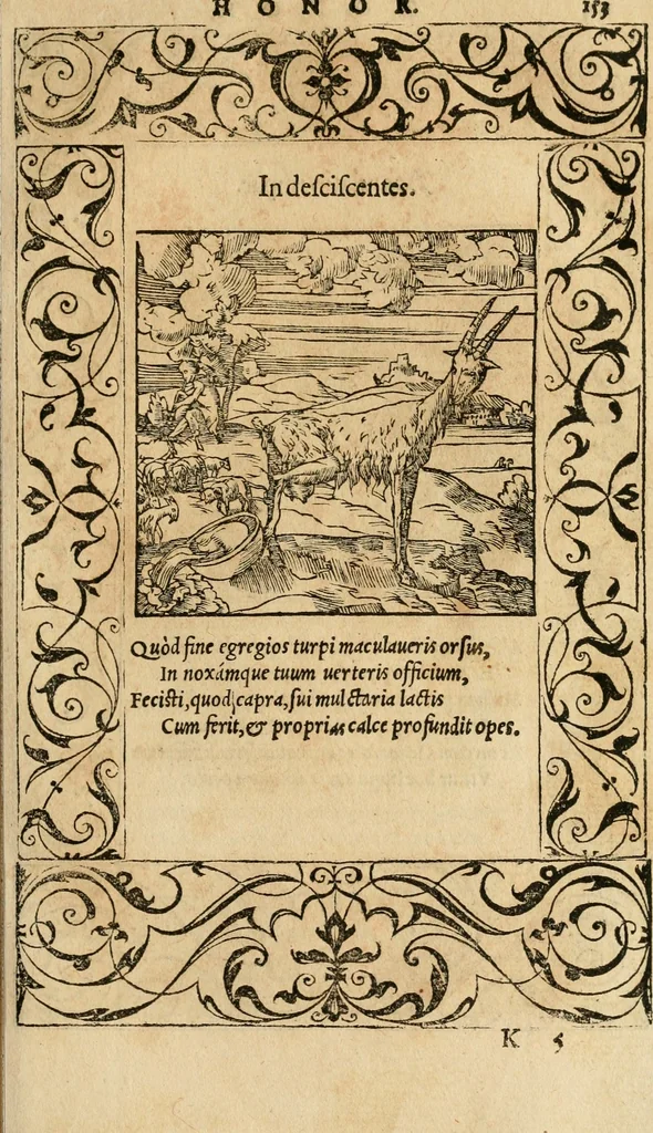 An illustration from Emblemata d'A. Alciati : denuo ab ipso autore recognita ac, quae desiderabantur, imaginibus locupletata : accesserunt noua aliquot ab autore emblemata, suis quoque eiconibus insignita, 1550, leaf 156